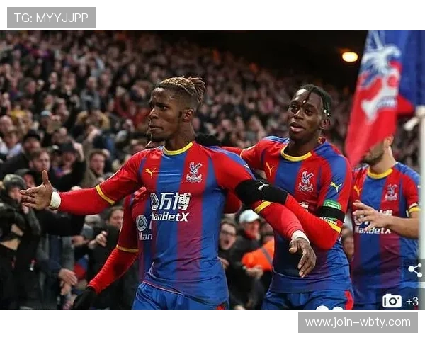 万博官方网站水晶宫：详细介绍球队历史与未来发展规划