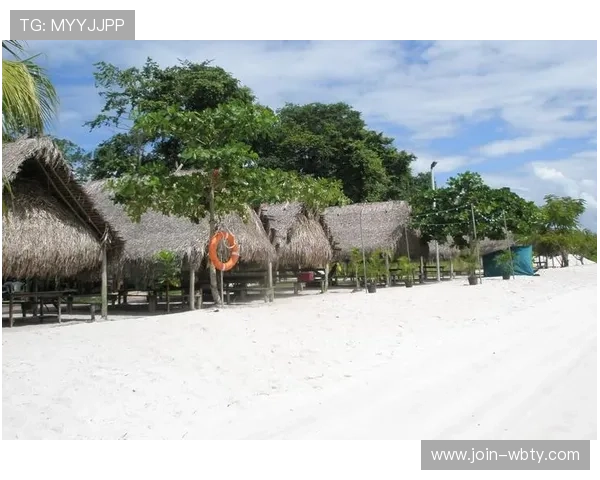 如何快速适应万博ManBetx最新更新带来的界面和功能优化